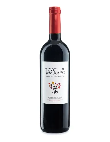 ValSotillo Finca Buenavista